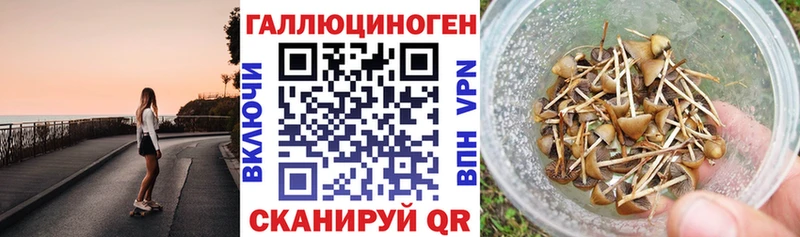 Купить закладки  Каменск-Шахтинский  Галлюциногенные грибы Magic Shrooms 